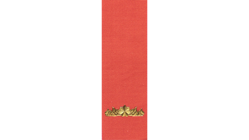 Commendation for Gallantry