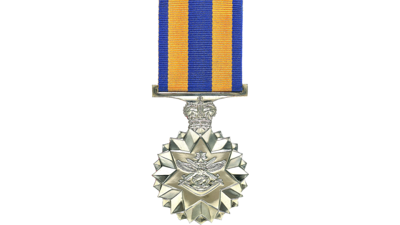 Defence Force Service Medal front