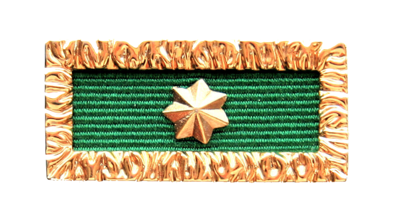 Unit Citation for Gallantry