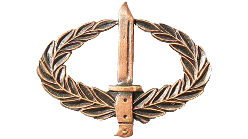 Infantry Combat Badge