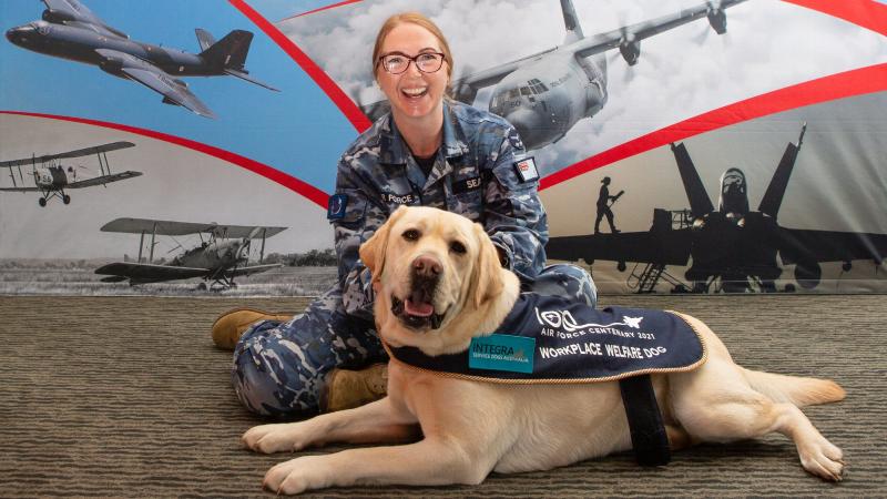 Hooper, the workplace welfare dog, receives a pat from Squadron Leader Lauretta Searle during Hooper's visit to the Air Force 2021 office at RAAF Base Fairbairn. Photo: Corporal Kylie Gibson
