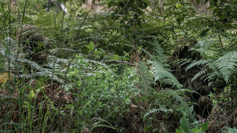 Soldiers from the 8th/9th Battalion, Royal Australian Regiment's Reconnaissance, Snipers and Surveillance Platoon demonstrate the use of camouflage and concealment in the Canungra Field Training Area. Photo: Private Jacob Hilton