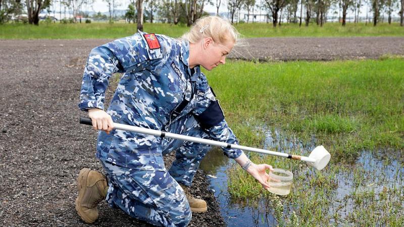 Air Force environmental health officer, Flying Officer Jamie Clifford from No 1 Expeditionary Health Squadron, looks for mosquito larva in samples of water during Exercise Regimen White 21 at RAAF Base Amberley. Photo: Leading Aircraftwoman Emma Schwenke
