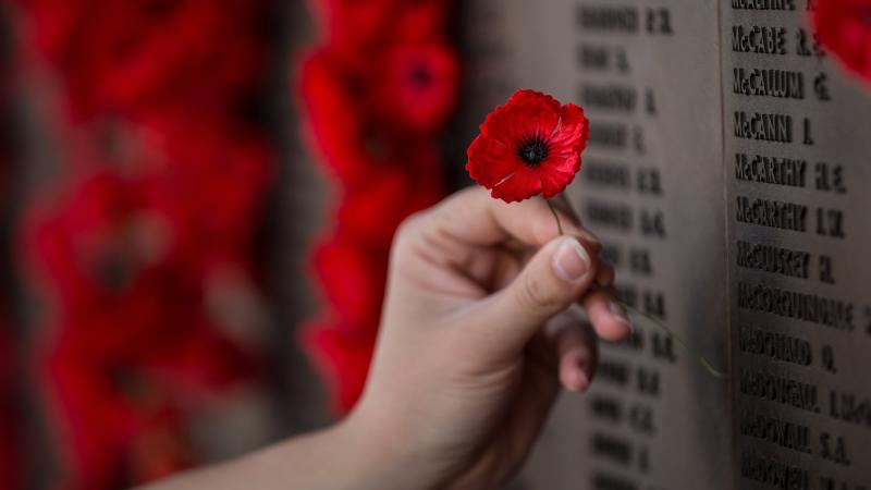 A poppy being placed on the roll of honour at the Australian War Memorial in Canberra. Photo: Corporal Nunu Campos