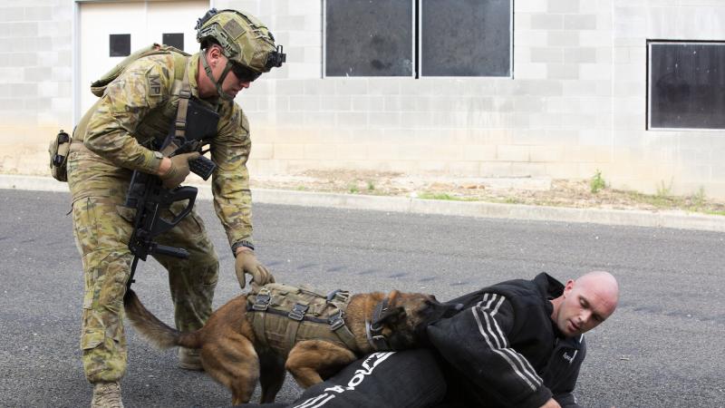 1st Military Police Battalion’s Private Alex Penfold and Police Working Dog Bella detain Lance Corporal Joshua Wilkinson while he wears a bite suit during Exercise Archibald at Wide Bay Training Area, Queensland. Photo: Sergeant Andrew Eddie