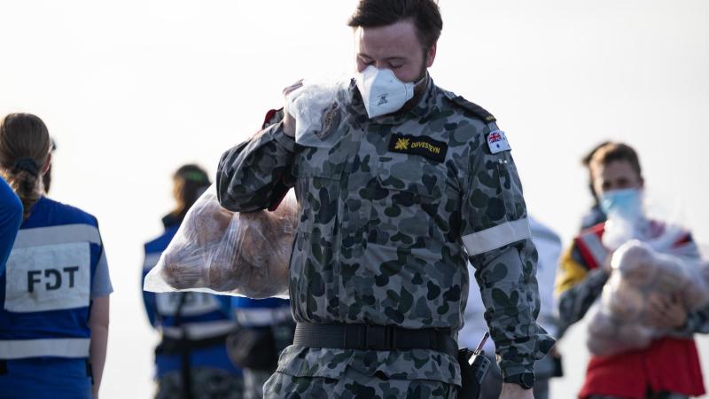 Navy sailor Seaman combat systems operator Mark Duivesteyn carries fruit gifted from the Tonga onboard HMAS Adelaide during Operation Tonga Assist 2022. Photo: Leading Seaman David Cox