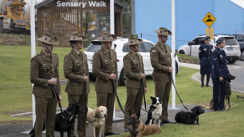 Military Working Dog Handlers from the Australian Army’s 2nd Combat Engineer Regiment and the Royal Australian Airforce at the National Military Working Dog Day commemorative service, Wacol, Queensland, on June 7. Photo: WO2 Kim Allen