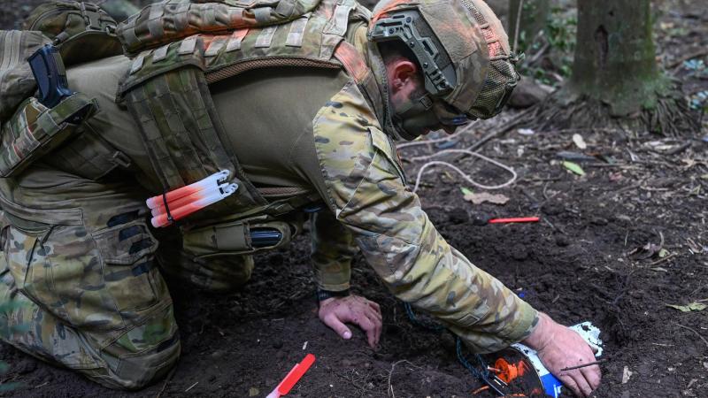 Australian Army soldier Sergeant Damian Dickson from 6th Engineer Support Regiment uncovers a training improvised explosive device during Exercise Wallaby Walk at Canungra. Photo: Warrant Officer Class Two Kim Allen