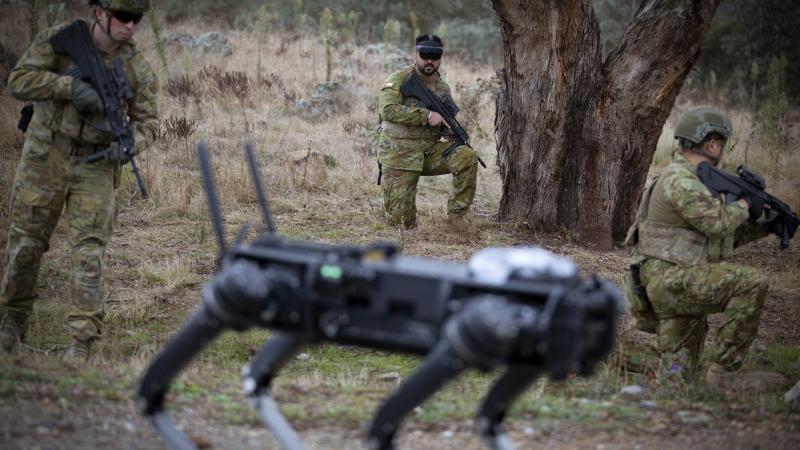 Sergeant Rana Chandan operates a Ghost Robotics quadruped robot using a novel brain-computer interface during a demonstration at Majura training area. Photo: Sergeant Matt Bickerton