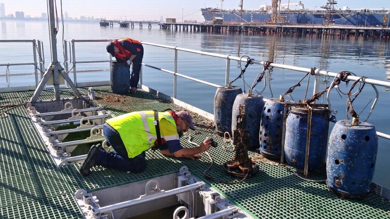 The newly funded ARC Training Centre for Biofilm Research and Innovation aims to transform how shipping vessels tackle the issue of biofilms.