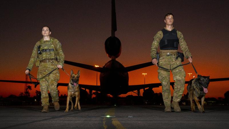 RAAF Military Working Dog Handler Leading Aircraftwoman Brooke Hitchinson with dog Karma, and Royal New Zealand Air Force counterpart Leading Aircraftman Byron Buys with dog Kaiser. Photo: Leading Aircraftwoman Kate Czerny