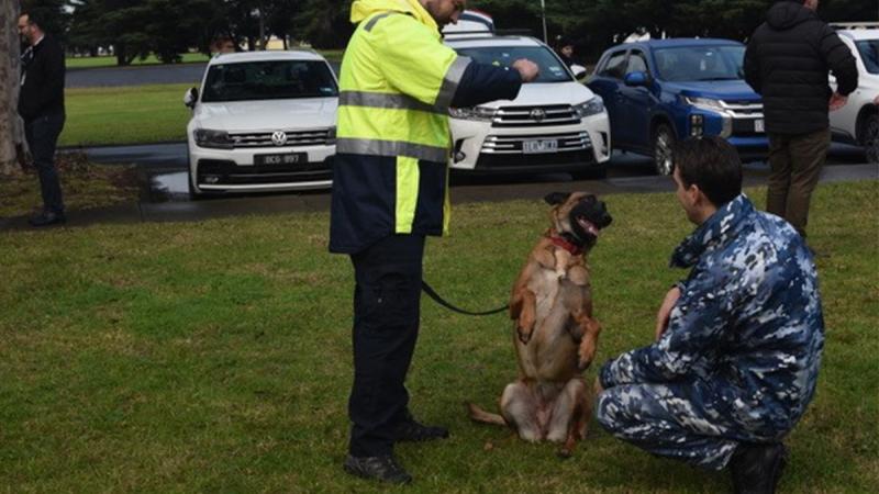 ASAR-K9 unit dogs and handlers providing a demonstration to members of RAAF Williams, Laverton and RAAF Base Point Cook. Photo: Flight Lieutenant Steffi Blavius