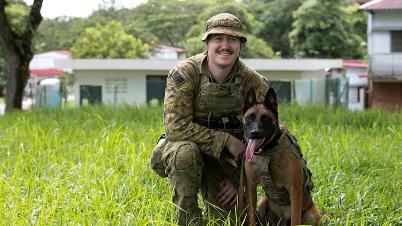Military Police Dog Handler Private Aidan Fleming with his working dog Drago after taking part in urban warfare training in Singapore. Photos: Leading Seaman Nadav Harel 