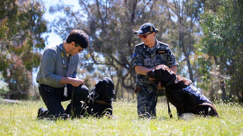 Scott Grimley with his guide dog, Dudley and Able Seaman Taryn Dickens with her assistance dog, Gigi enjoy some time in the sun. Photo: Private Nicholas Marquis