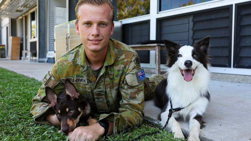 Army Sapper Flynn Skerke-Erwin, of the 3rd Combat Engineer Regiment, with trainee explosive detection dogs “Joey”, left, and “Ash”. Photo: Warrant Officer Class 2 Max Bree