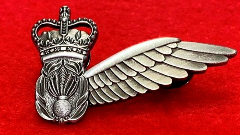 A Brevet, with its seven-fused flaming grenade in the centre and wing on the left representing 20th Regiment.