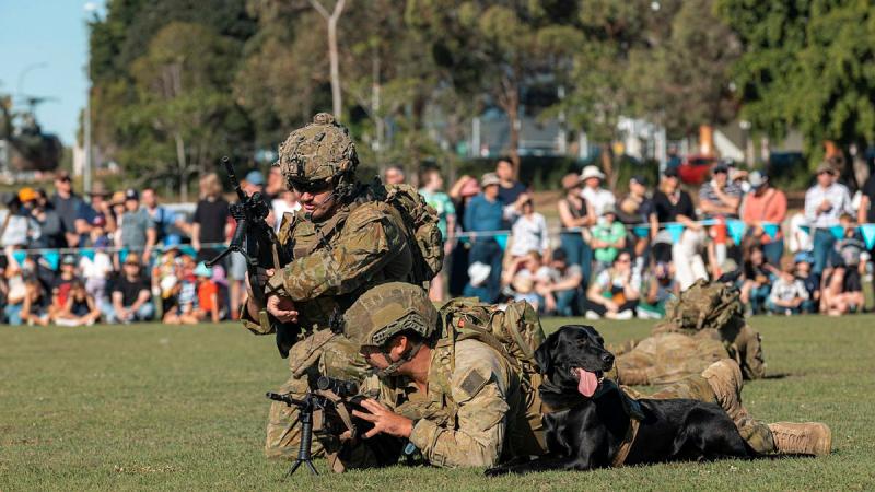 Members from 2nd Combat Engineer Regiment, including an explosive detection dog, conduct an explosive device search demonstration during Gallipoli Barracks Open Day. Photos: Corporal Nicole Dorrett