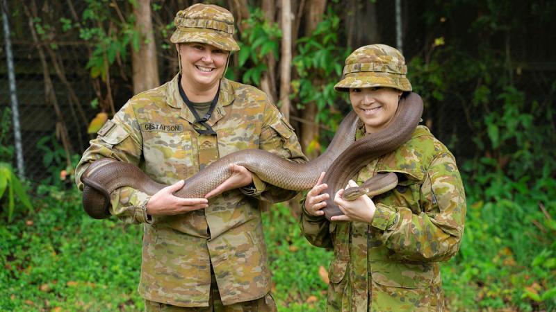 Privates Leah Gustafson and Sylvia Ng from 2nd Health Battalion hold an Olive Python during the venomous snake handling and relocation course at Gallipoli Barracks, Brisbane. Photo: Private Thomas de Weger
