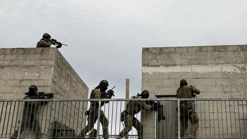 Soldiers from the 5th Brigade clear a building using airsoft rifles at Holsworthy Training Area at the end of Exercise Arras Sprint. Photo: Private Sarah Fisher