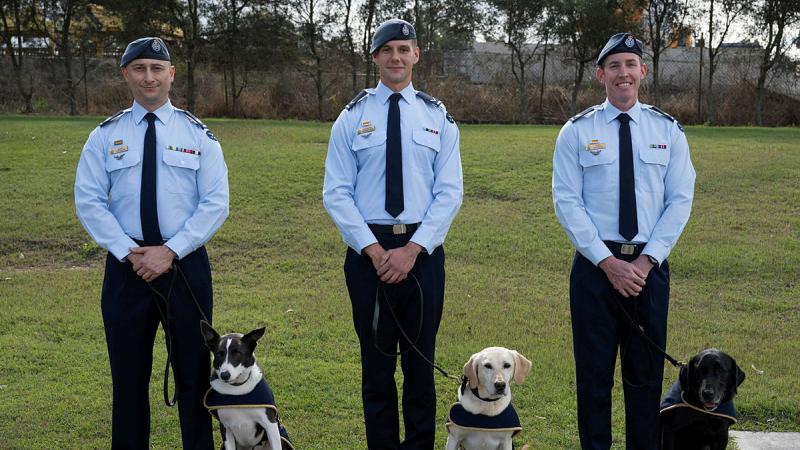 RAAF Military Working Dog Handlers and their Explosive Detection Dogs (EDD) from 2SECFOR (l-r) Sergeant Marc Douglas and EDD Ollie, Leading Air Craftsman Michael Robertson and EDD Piper and Corporal Alex Randles with EDD Rex. Photos: Warrant Offer Class Two Kim Allen