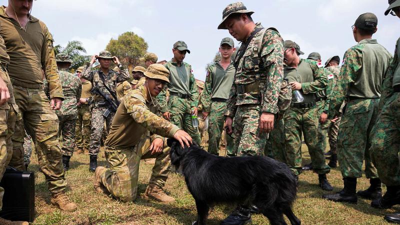 Australian Army personnel meet Bruno a military working dog on Exercise Bersama Lima, Kuantan, Malaysia.