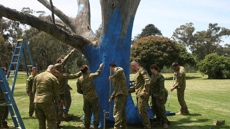 Australian Army soldiers from 1st Recruit Training Battalion paint a tree blue at Kapooka.