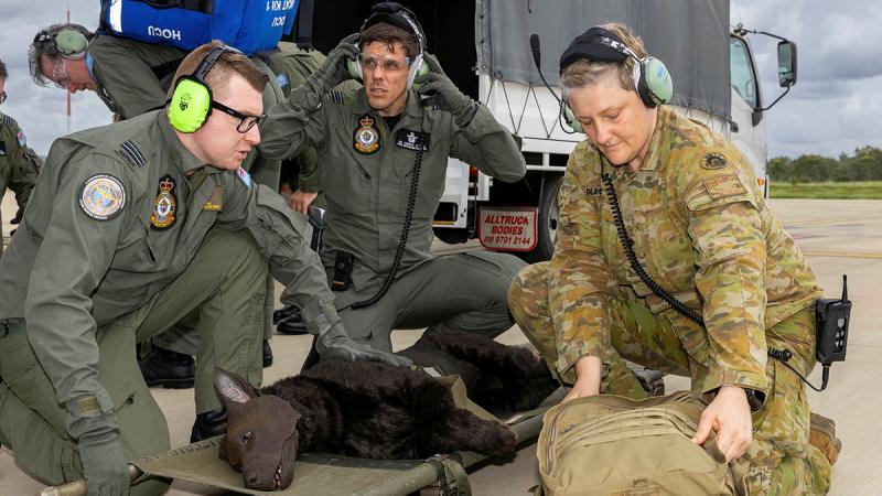 From left, Flight Lieutenant Nick Adam, Squadron Leader Andrew Marks from 3 Aeromedical Evacuation Squadron and Captain Alex Blecich from 2nd Health Brigade, assist "Hero" a technical training aid, during a critical care aeromedical evacuation scenario. 