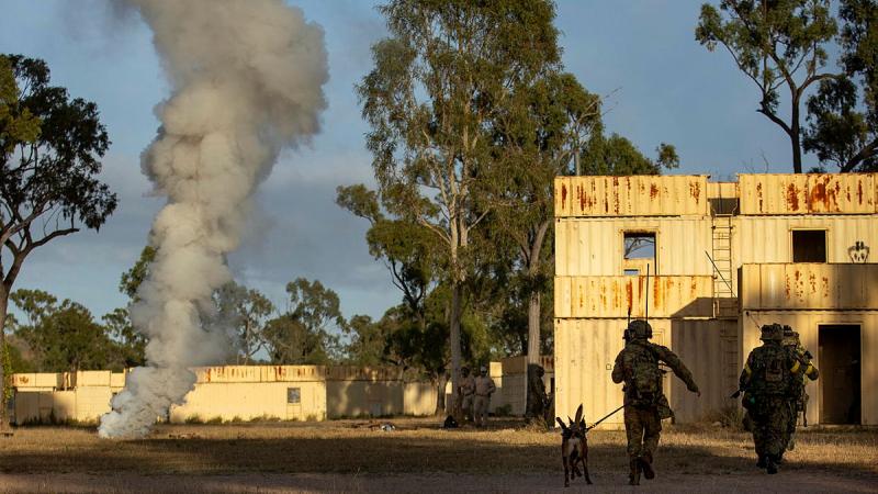 An Australian Army soldier from 1st Military Police Battalion and his Military Working Dog Petra alongside soldiers from Japanese Ground Self-Defense Force at Townsville Field Training Area, Queensland. 