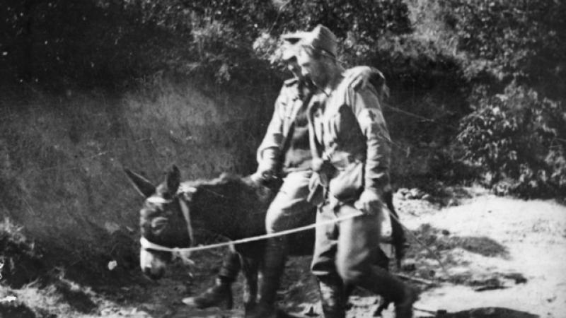 Private John Simpson Kirkpatrick (who enlisted as John Simpson), of the 3rd Field Ambulance, he was known as 'The Man with the Donkey'. He is seen here working in Shrapnel Gully at Anzac Cove, with a wounded soldier on his donkey.