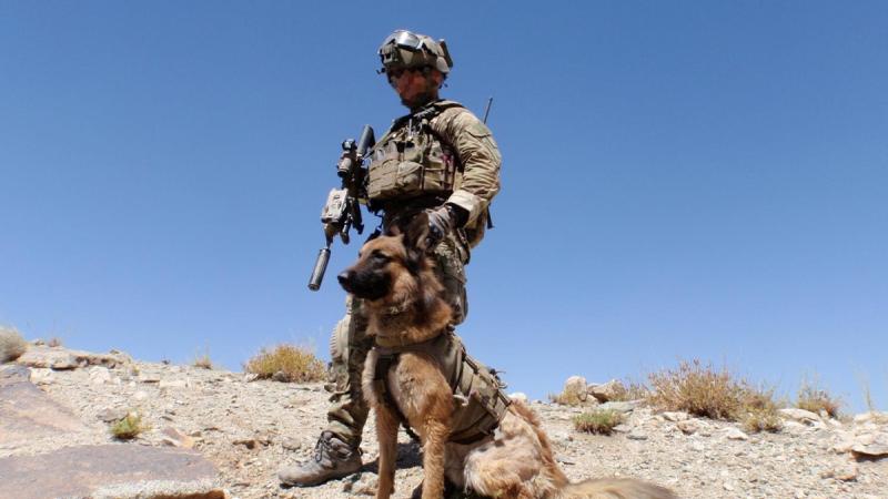 Australian Army soldier Sergeant 'J' from Special Operations Task Group with his military working dog 'Kuga' during a patrol in Afghanistan. Photo: Special Operations Command.