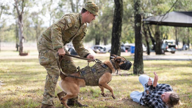 Army soldier Private Daniel Mooney and Military Police Dog Beretta during the Military Working Dog Handler Basic Course at RAAF Security and Fire School, RAAF Base Amberley, Ipswich.