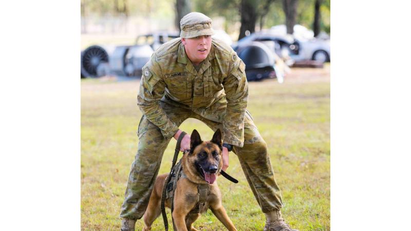 Private Riley Mayne and Military Police Dog Deek prepare to apprehend a decoy during the Military Working Dog Handler basic course. 