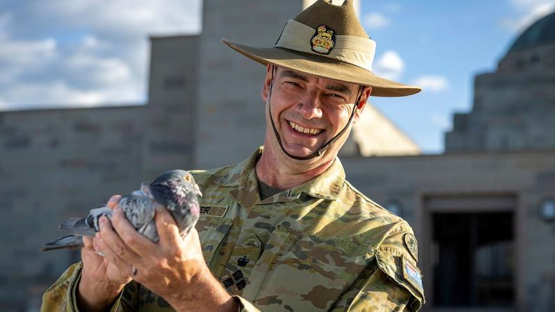 Brigadier Deane Limmer holds a Blue Bar Cock pigeon at the Australian War Memorial, Canberra.  