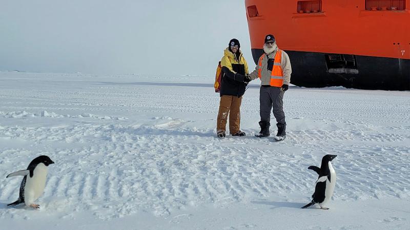 Squadron Leader Rengel receiving handover from the 77th ANARE medical practitioner Dr Peter Rizzo near the RSV Nuyina and local Adelie penguins.