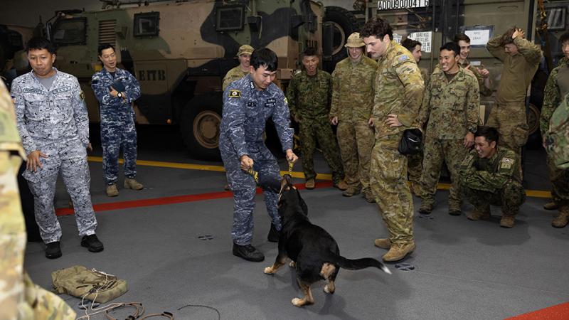 Charlie a working military dog plays tug-o-war surrounded by international military personnel. 