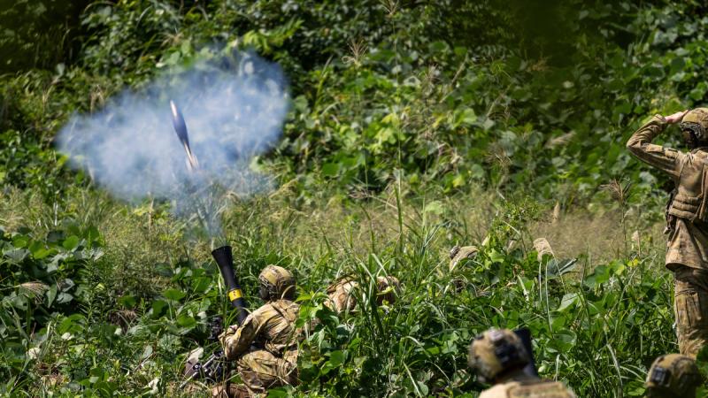 Australian soldiers crouch in long grass as one fires a mortar from a launcher.