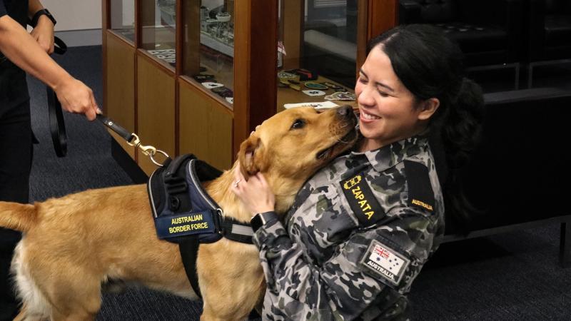 A light tan coloured dog in a harness stretches out to nuzzle a Navy member as she pats ad holds it.