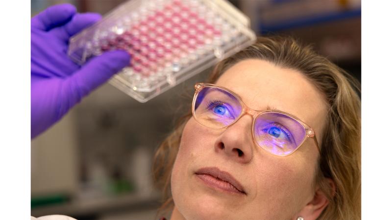 A woman looks at a clear scientific tray.