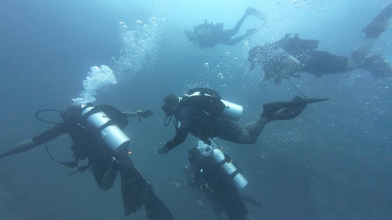 A group of divers navigate under water.